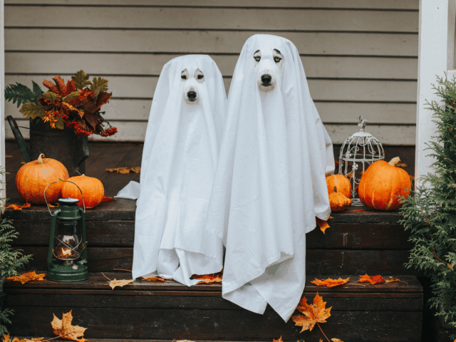 You Can’t Update Your Estate Plan If You’re A Ghost