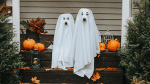 You Can’t Update Your Estate Plan If You’re A Ghost