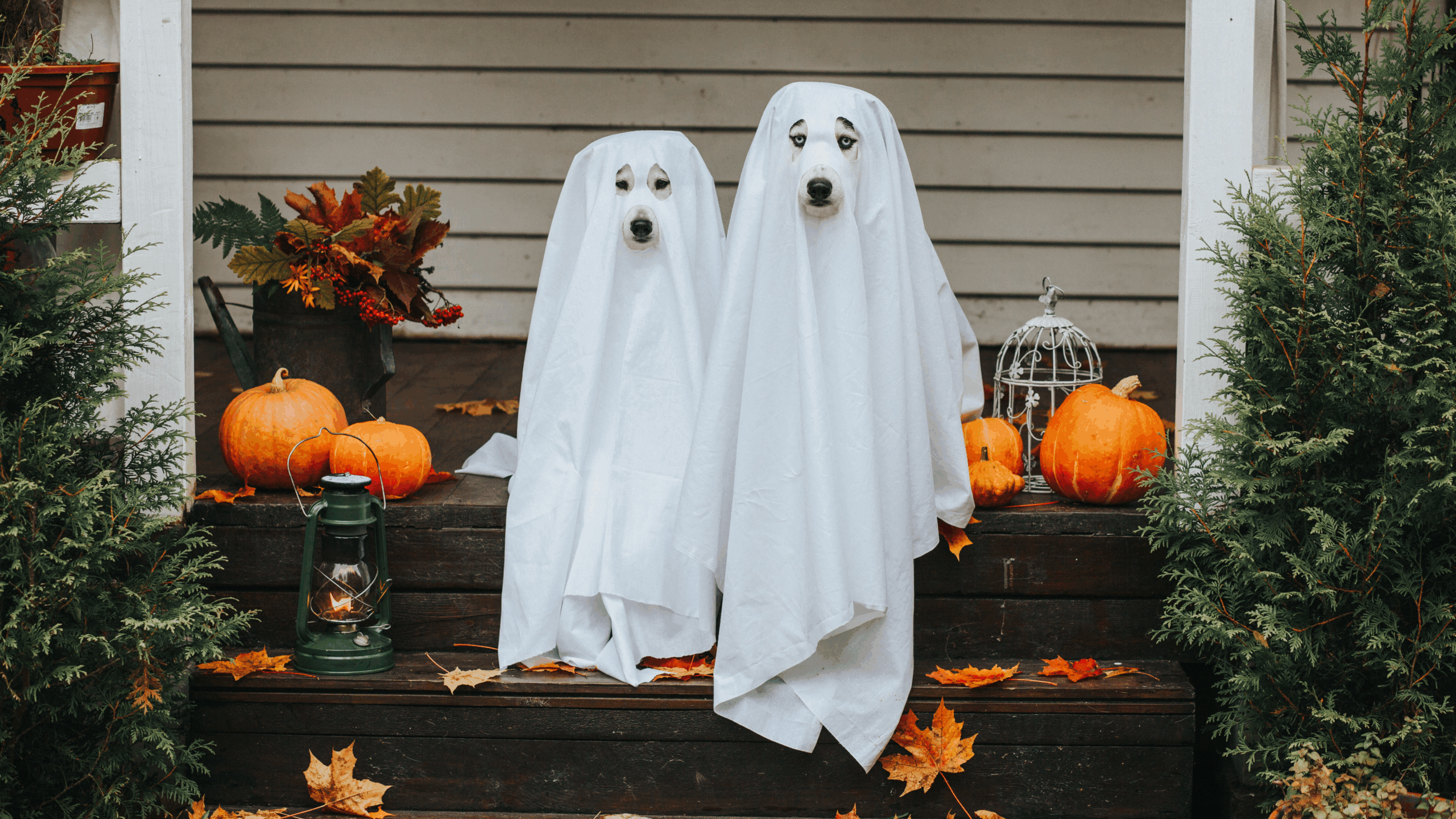 You Can’t Update Your Estate Plan If You’re A Ghost